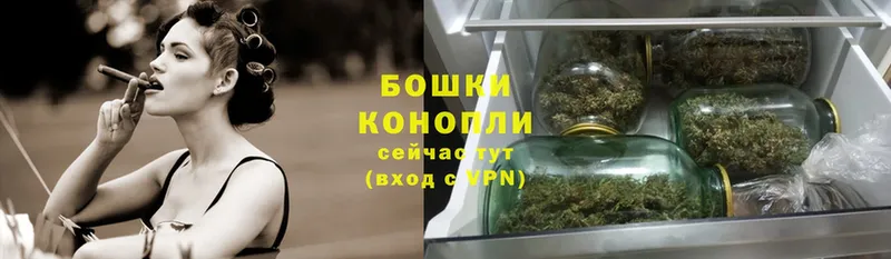 Бошки марихуана Ganja  Лукоянов 